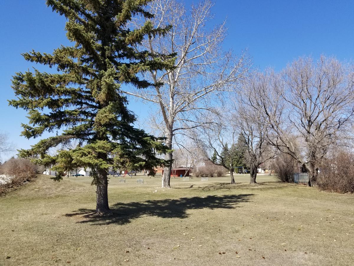 Melsask Motel Melville Exteriér fotografie